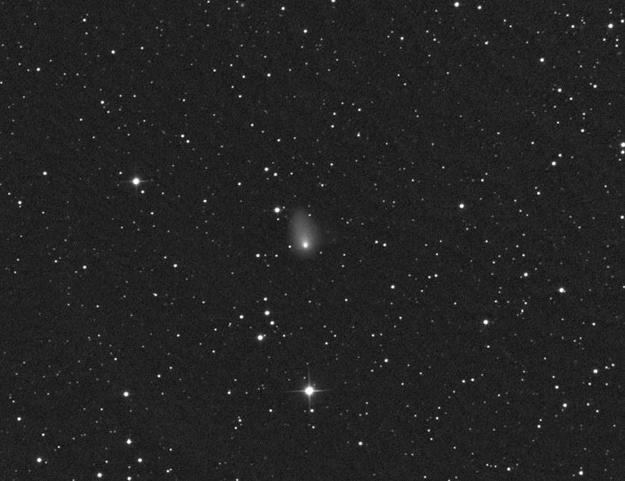 Comet-E2-Ligustri