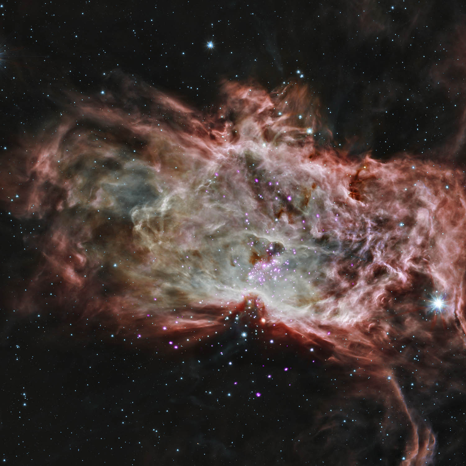 A star cluster in the center of the Flame Nebula about 1,400 light years from Earth.