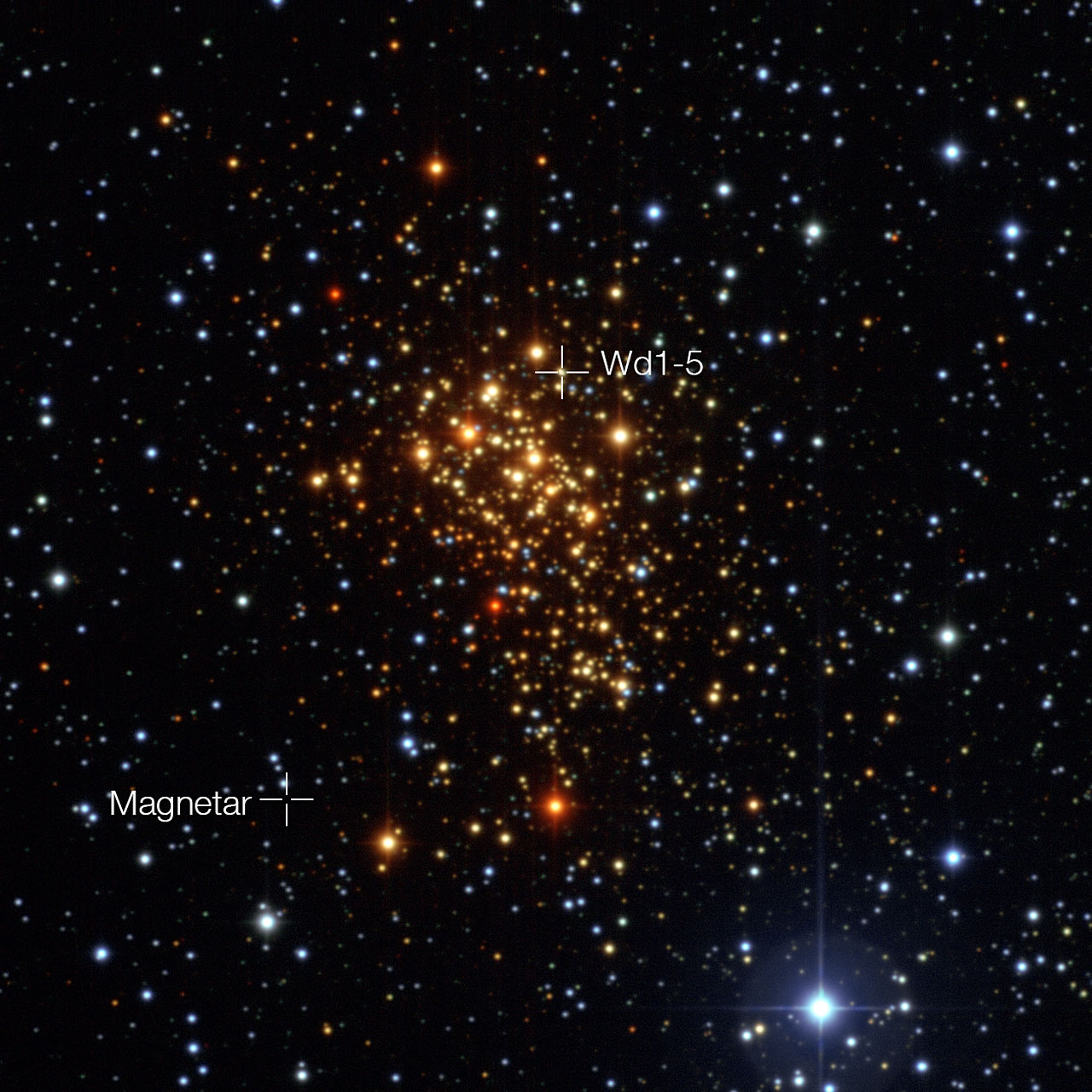Esta imagem do enxame estelar jovem Westerlund 1 foi obtida com o instrumento Wide Field Imager montado no telescópio MPG/ESO de 2,2 metros, no Observatório de La Silla do ESO, no Chile. Apesar da maioria das estrelas do enxame serem supergigantes azuis quentes, na imagem aparecem avermelhadas porque estamos a observá-las através de poeira e gás interestelar. Astrónomos europeus demonstraram, pela primeira vez, que esta estrela magnética - um tipo invulgar de estrela de neutrões com um campo magnético extremamente poderoso - se formou, muito provavelmente, num sistema estelar binário. A descoberta da anterior companheira (Westerlund 1-5) da estrela magnética num local diferente do enxame, ajuda a resolver o mistério de como é que uma estrela que começou por possuir uma massa tão elevada pôde dar origem a uma estrela magnética, em vez de colapsar sob a forma de um buraco negro.