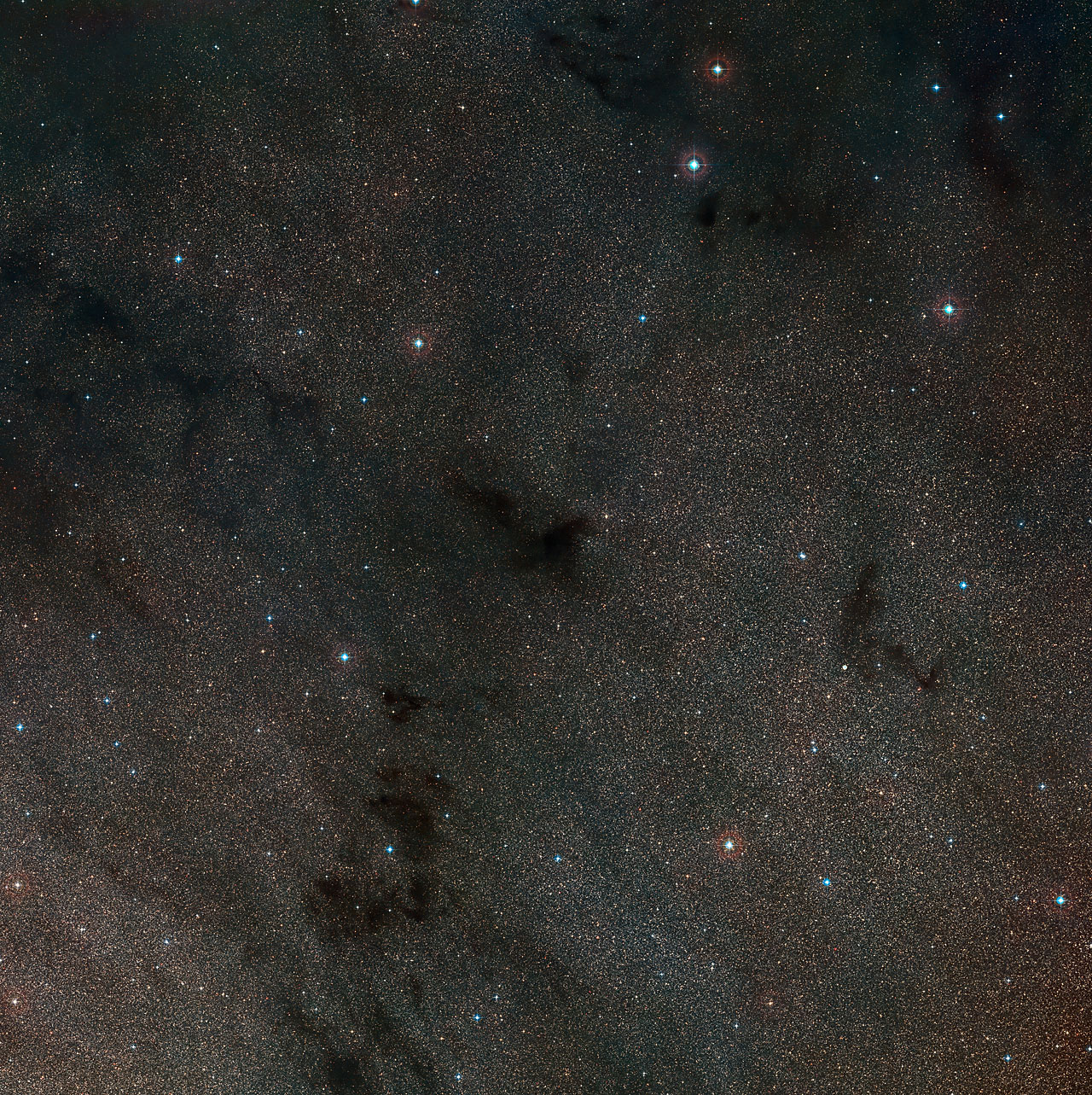 Wide-field view of the sky around the dark nebula LDN 483
