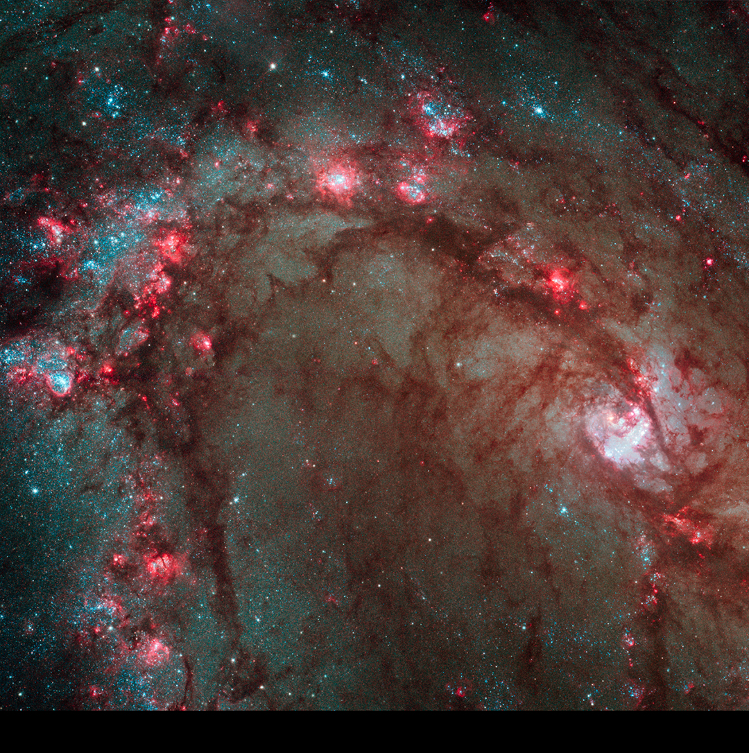 O nascimento de estrelas observado em detalhe pelo Hubble na Galáxia M83.