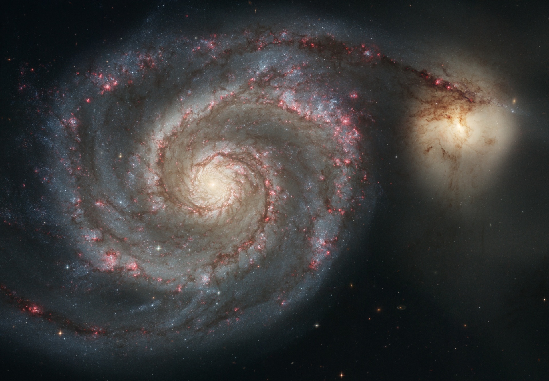 Imagem fantástica do Hubble feita da Galáxia do Redemoinho, mostrando os aglomerados de estrelas vermelhas em formação nos braços espirais e o núcleo nitidamente amarelo repleto de estrelas mais antigas.