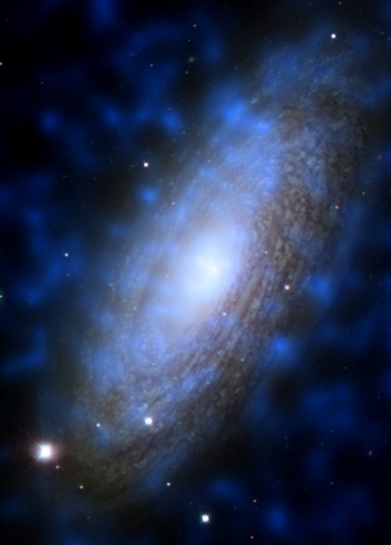 A large spiral galaxy about 50 million light years from Earth.