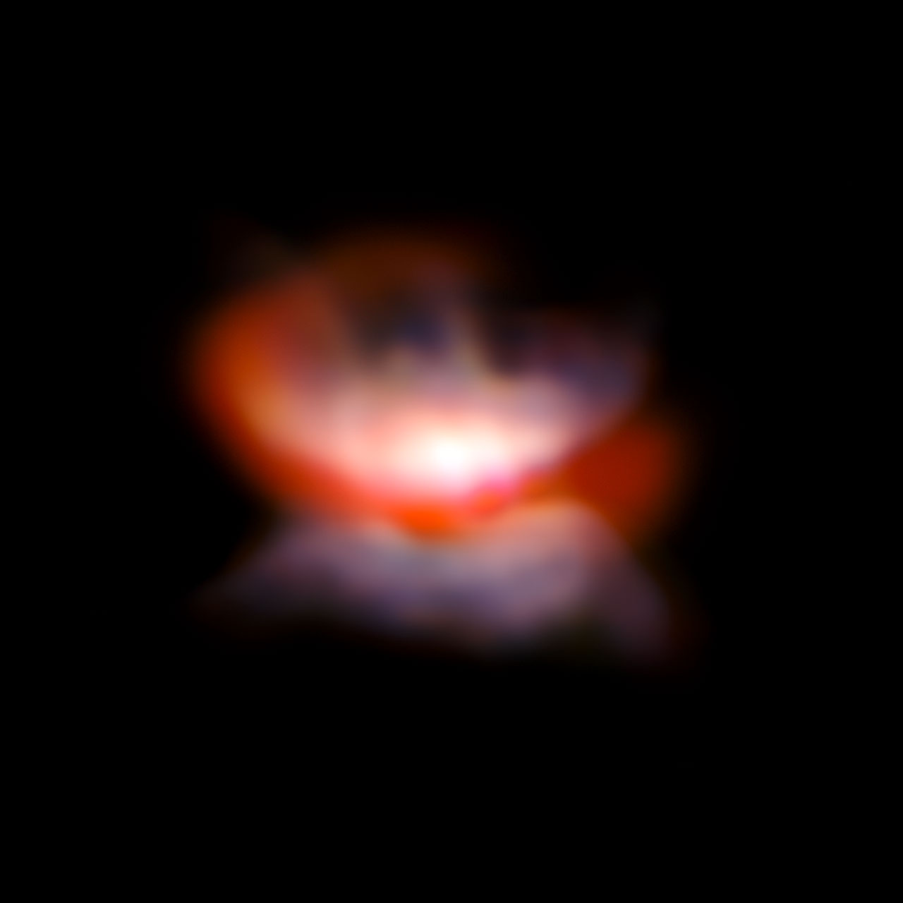 VLT/SPHERE and NACO image of the star L2 Puppis and its surround