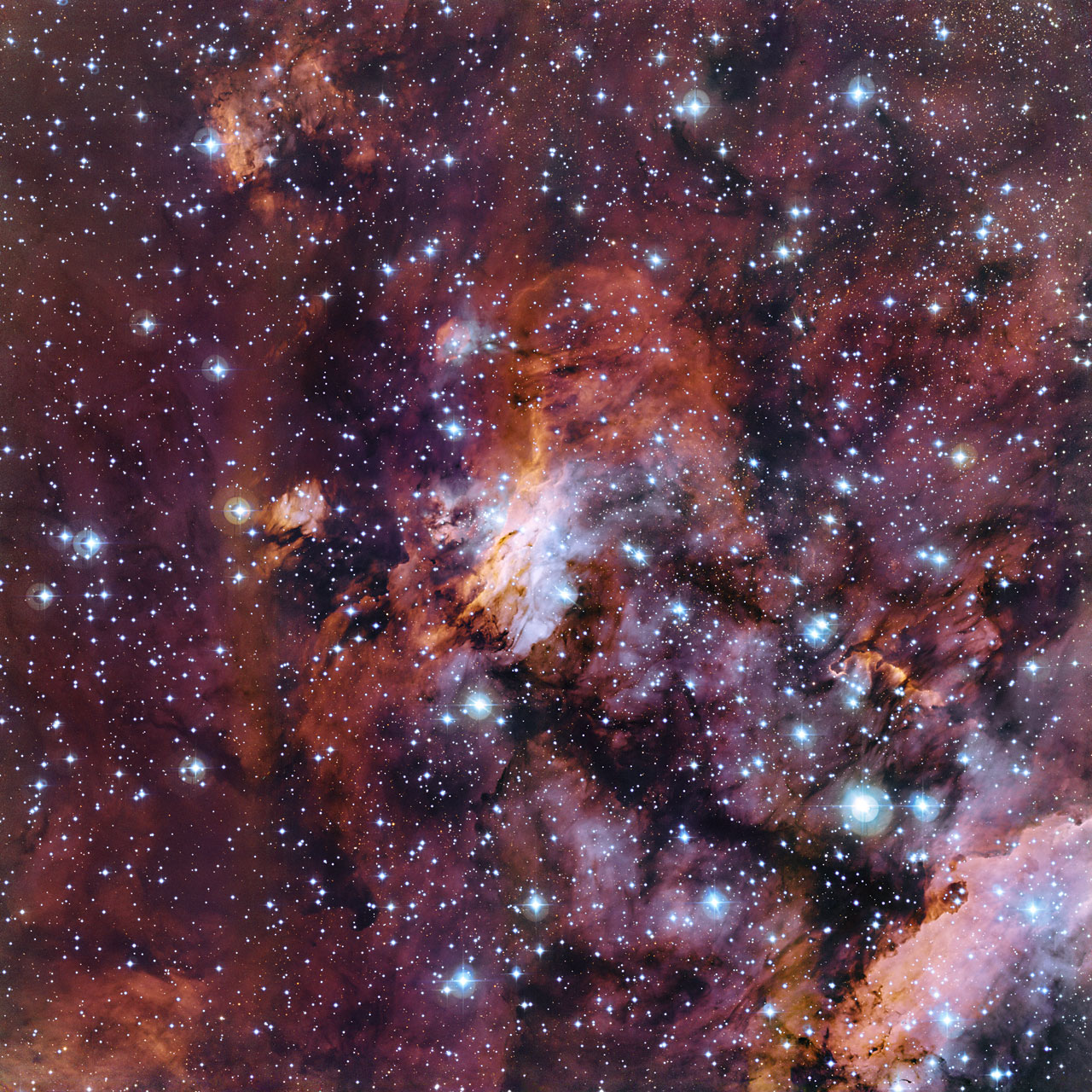 The Prawn Nebula in close-up