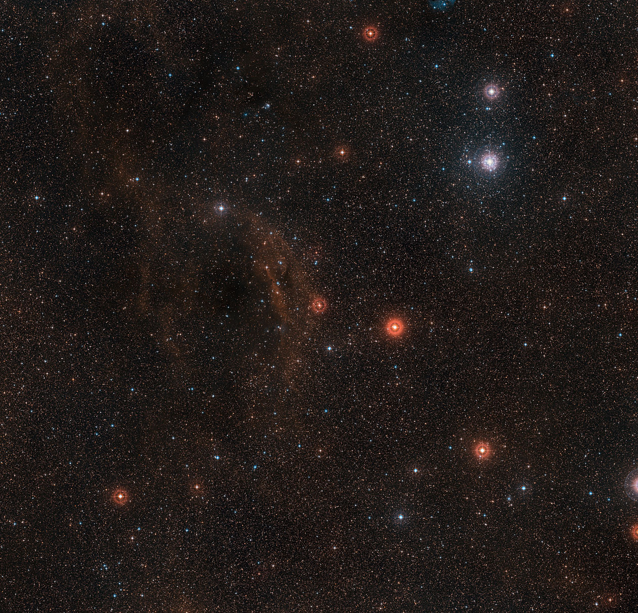 Wide-field view of the sky around VY Canis Majoris