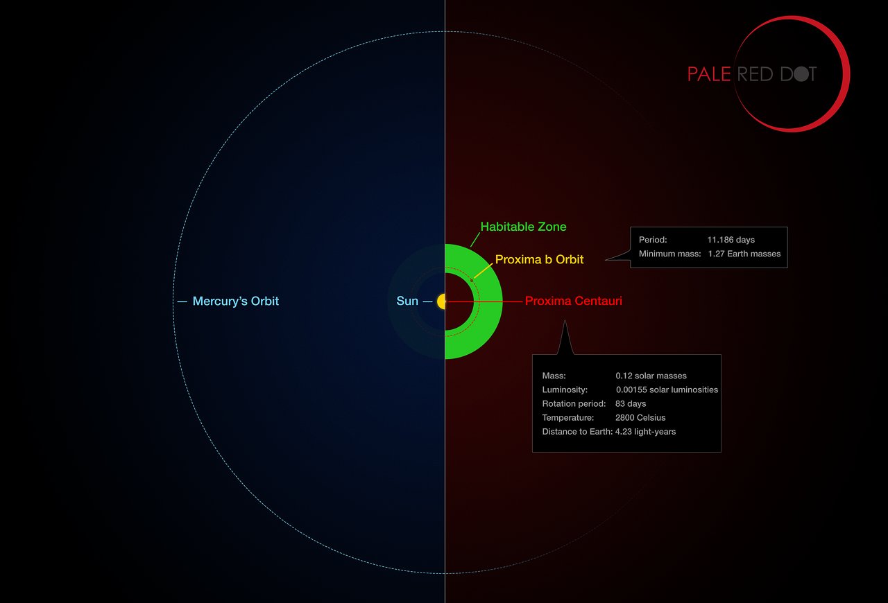 Proxima Centauri and its planet compared to the Solar System