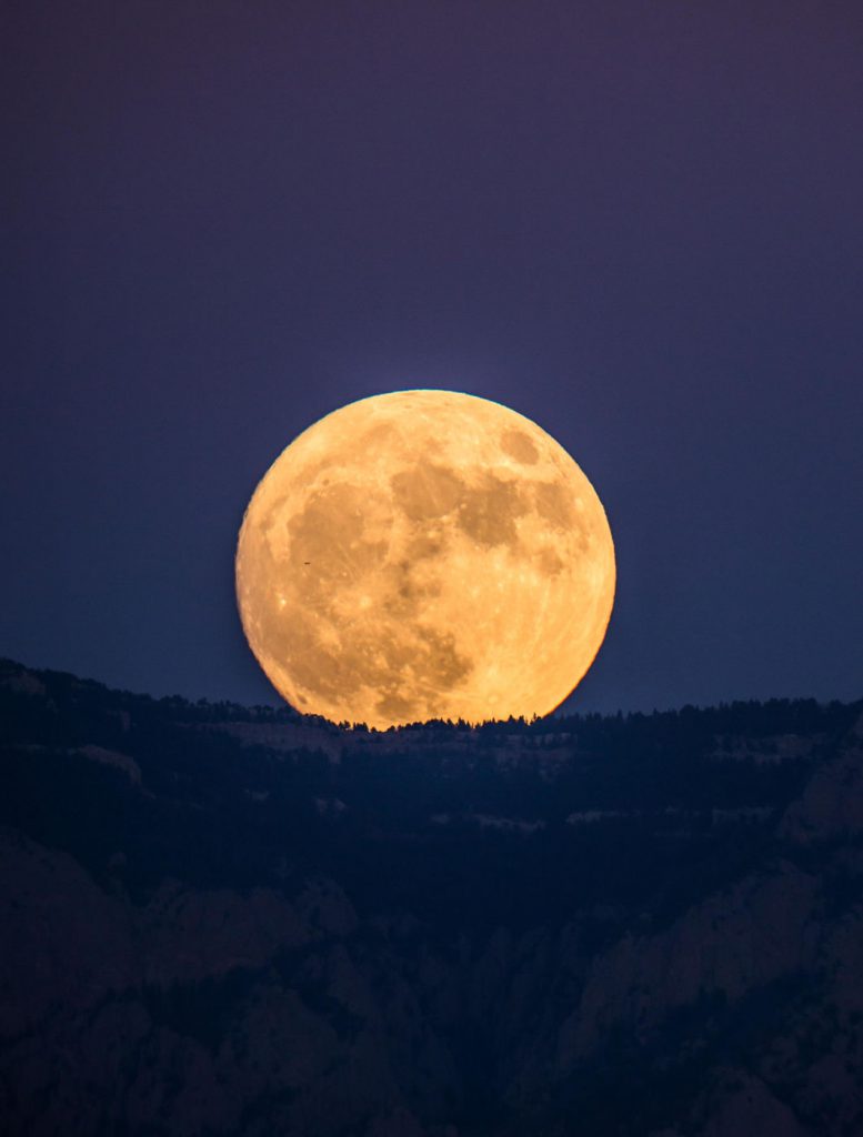 Super Lua nasce em Albuquerque no Novo México.