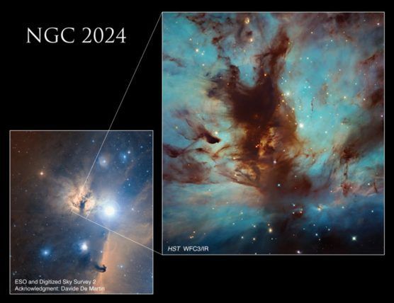 Hubble Mostra Detalhes da Nebulosa da Chama Na Constelação de Orion ...