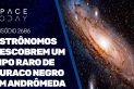 ASTRÔNOMOS DESCOBREM UM TIPO RARO DE BURACO NEGRO EM ANDRÔMEDA