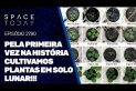 PELA PRIMEIRA VEZ NA HISTÓRIA CULTIVAMOS PLANTAS EM SOLO LUNAR!!!