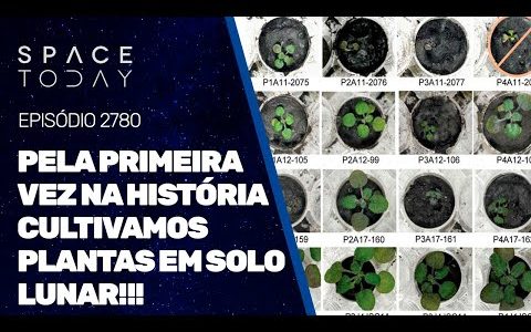 PELA PRIMEIRA VEZ NA HISTÓRIA CULTIVAMOS PLANTAS EM SOLO LUNAR!!!