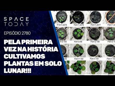 PELA PRIMEIRA VEZ NA HISTÓRIA CULTIVAMOS PLANTAS EM SOLO LUNAR!!!