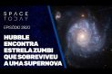HUBBLE ENCONTRA ESTRELA ZUMBI QUE SOBREVIVEU A UMA SUPERNOVA!!!