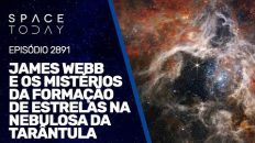 JAMES WEBB E OS MISTÉRIOS DA FORMAÇÃO DE ESTRELAS NA NEBULOSA DA TARÂNTULA!!!