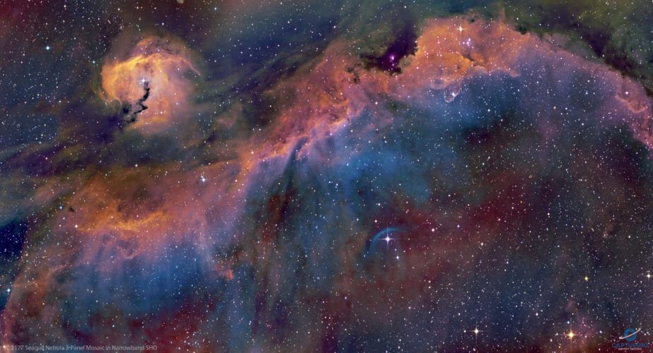 A Bela Nebulosa da Gaivota – SPACE TODAY – NASA, Space X, Exploração ...