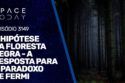 A HIPÓTESE DA FLORESTA NEGRA - A RESPOSTA PARA O PARADOXO DE FERMI
