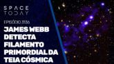 JAMES WEBB DETECTA FILAMENTO PRIMORDIAL DA TEIA CÓSMICA