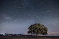 CHUVA DE METEOROS PERSEIDAS 2023