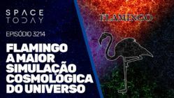 FLAMINGO - A MAIOR SIMULAÇÃO COSMOLÓGICA DO UNIVERSO