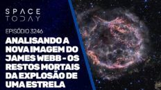 ANALISANDO A NOVA IMAGEM DO JAMES WEBB - OS RESTOS MORTAIS DA EXPLOSÃO DE UMA ESTRELA