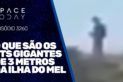 ETS GIGANTES DE 3 METROS DE ALTURA NA ILHA DO MEL?