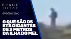 ETS GIGANTES DE 3 METROS DE ALTURA NA ILHA DO MEL?