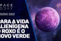 PARA A VIDA ALIENÍGENA O ROXO É O NOVO VERDE