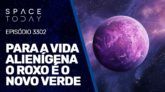 PARA A VIDA ALIENÍGENA O ROXO É O NOVO VERDE