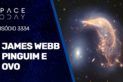 O JAMES WEBB, O PINGUIM E O OVO