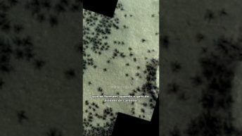 ACHARAM ARANHAS em MARTE ???