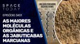 AS MAIORES MOLÉCULAS ORGÂNICAS E AS JABUTICABAS MARCIANAS