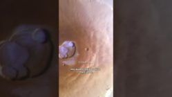 GEADA nos VULCÕES de MARTE