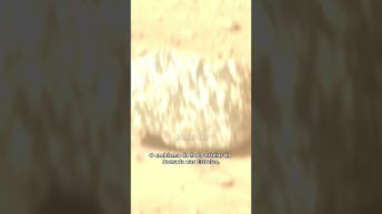 ROCHAS ESTRANHAS em MARTE!