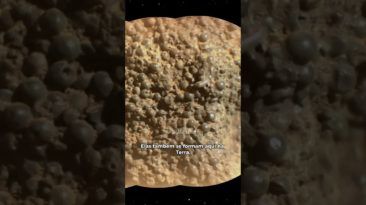 POSSÍVEIS INTERPRETAÇÕES das JABUTICABAS MARCIANAS