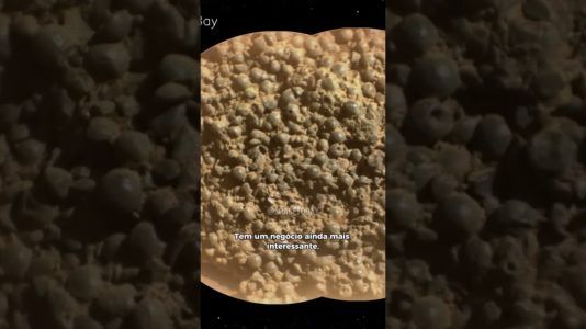 JABUTICABAS MARCIANAS!!!