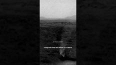 REDEMOINHO EM MARTE VISTO PELO PERSEVERANCE