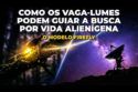 COMO OS VAGA-LUMES PODEM GUIAR A BUSCA POR VIDA ALIENÍGENA - O MODELO FIREFLY