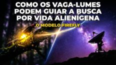 COMO OS VAGA-LUMES PODEM GUIAR A BUSCA POR VIDA ALIENÍGENA - O MODELO FIREFLY