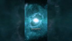 O QUE ACONTECE COM BETELGEUSE?